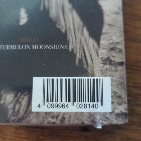 Lainey Wilson Record Store Day 2024 Vinyl 7" brand new - Picture 6 of 12